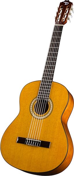 Dean Classical Acoustic Guitar Package, Action Position Back