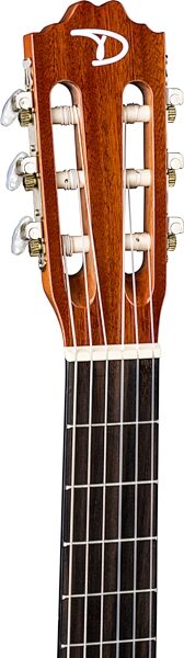 Dean Classical Acoustic Guitar Package, Action Position Back