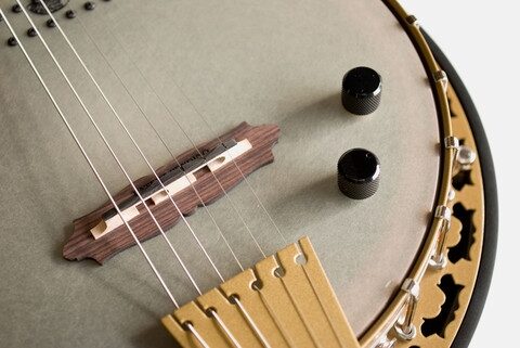 Deering Phoenix Banjo, 6-String (with Case), Controls