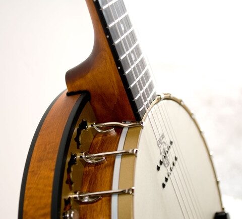 Deering Phoenix Banjo, 6-String (with Case), Neck Closeup