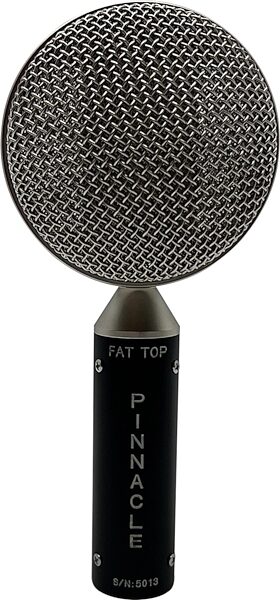 Pinnacle Microphones Fat Top Ribbon Microphone, Black, Action Position Back