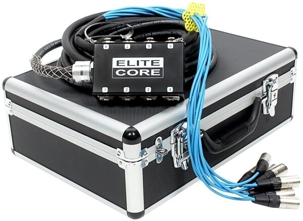 Elite Core PS8030 8-Channel Stage Snake, Main