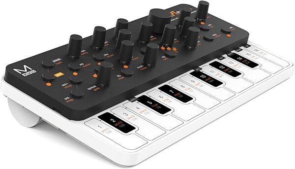Modal Skulpt SE 4-Voice Virtual-Analog Synthesizer, Action Position Front
