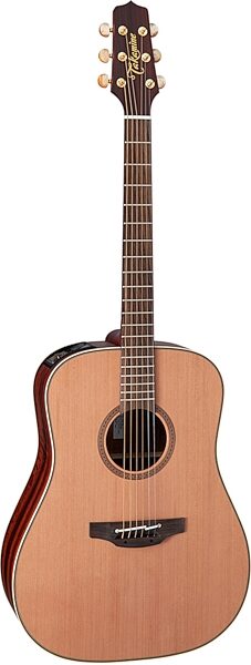 Takamine Limited Edition FN15 AR Acoustic-Electric Guitar (with Gig Bag), Action Position Back