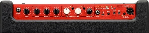TC Electronic BG250-115 Bass Combo Amplifier (250 Watts, 1x15"), Top Controls