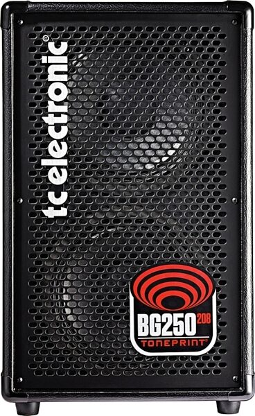 TC Electronic BG250-208 Bass Combo Amplifier (250 Watts, 2x8"), Main