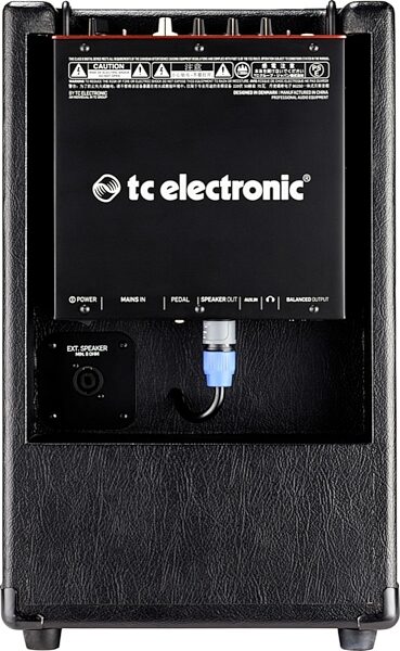TC Electronic BG250-208 Bass Combo Amplifier (250 Watts, 2x8"), Rear