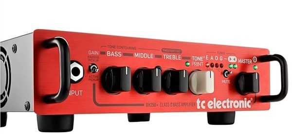 TC Electronic BH250 Bass Amplifier Head (250 Watts), Angle