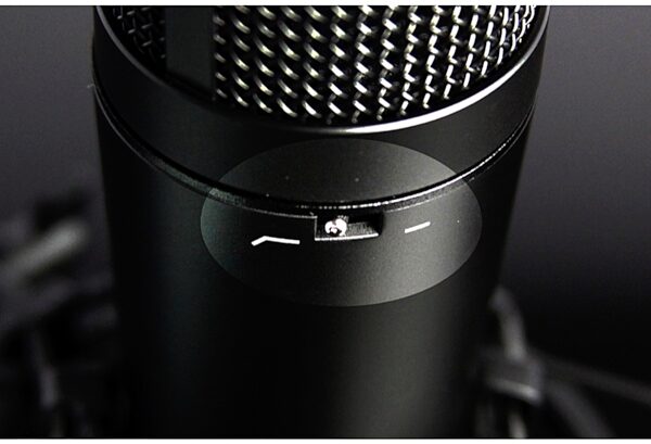 TASCAM TM-180 Large-Diaphragm Studio Condenser Microphone, Alt