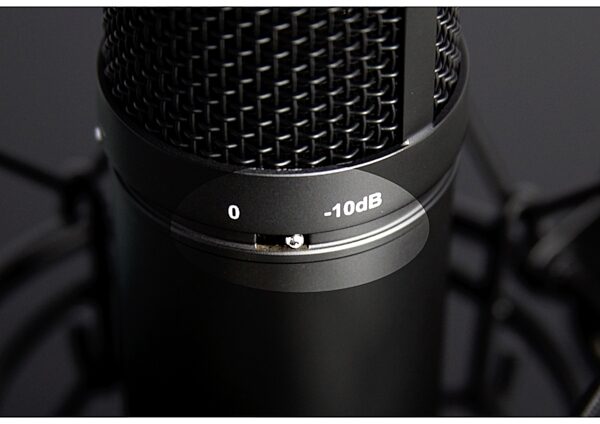 TASCAM TM-280 Studio Large-Diaphragm Condenser Microphone with Shock Mount and Pop Filter, Alt