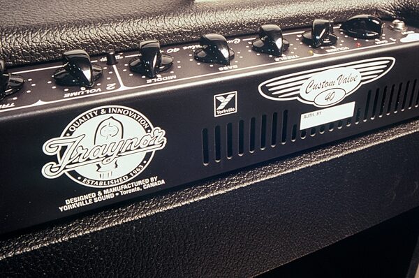 Traynor Custom Valve 40 Tube Guitar Amplifier (40 Watts, 1x12 in.), Black Controls