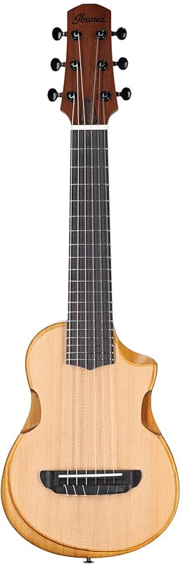Ibanez AUP10N Tenor Ukulele (with Gig Bag), Open Pore Natural, Full Straight Front