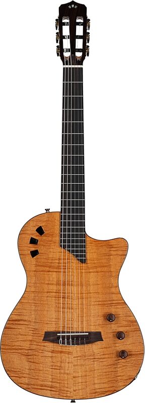 Cordoba Stage Thinbody Classical Acoustic-Electric Guitar, Amber, Full Straight Front
