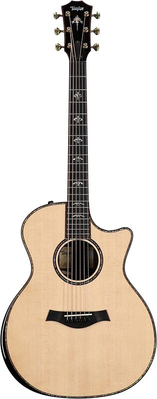 Taylor 914ceV Grand Auditorium Acoustic-Electric Guitar (with Case), New, Full Straight Front