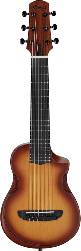 Ibanez AUP10N Tenor Ukulele (with Gig Bag), Open Pore Light Brown Sunburst, Full Straight Front