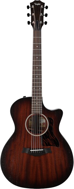 Taylor American Dream AD24ce Grand Auditorium Acoustic-Electric Guitar (with Case), With Aerocase, Full Straight Front