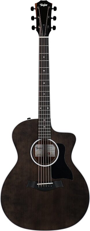 Taylor 214ce-SE Grand Auditorium Acoustic-Electric Guitar (with AeroCase), Grey, Full Straight Front