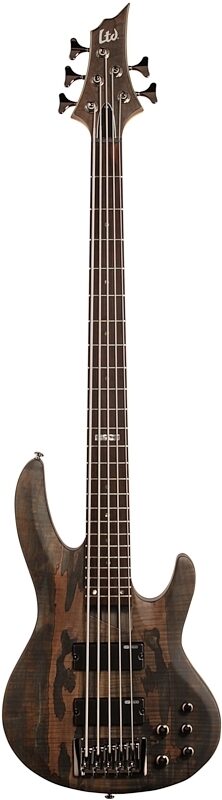ESP LTD B205SM Electric Bass, 5-String, See Thru Black, Full Straight Front