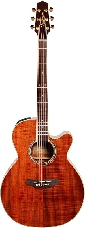 Takamine EF508KC Acoustic-Electric Guitar (with Case), New, Full Straight Front
