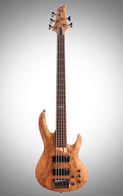 ESP LTD B-205SM Fretless Electric Bass, 5-String, Natural Satin, Full Straight Front