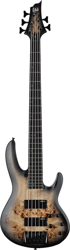 ESP LTD B-5 Electric Bass, 5-String (with Ebony Fingerboard), Charcoal Burst Satin, Full Straight Front