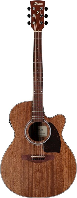 Ibanez PC54CE Acoustic-Electric Guitar, Natural, Full Straight Front