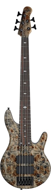 Michael Kelly Pinnacle 5 Custom Electric Bass Guitar, 5-String, Grey Burl, Full Straight Front