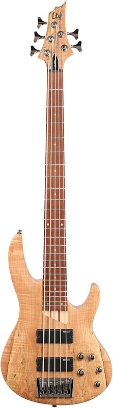 ESP LTD B205SM Electric Bass, 5-String, Natural Satin, Full Straight Front