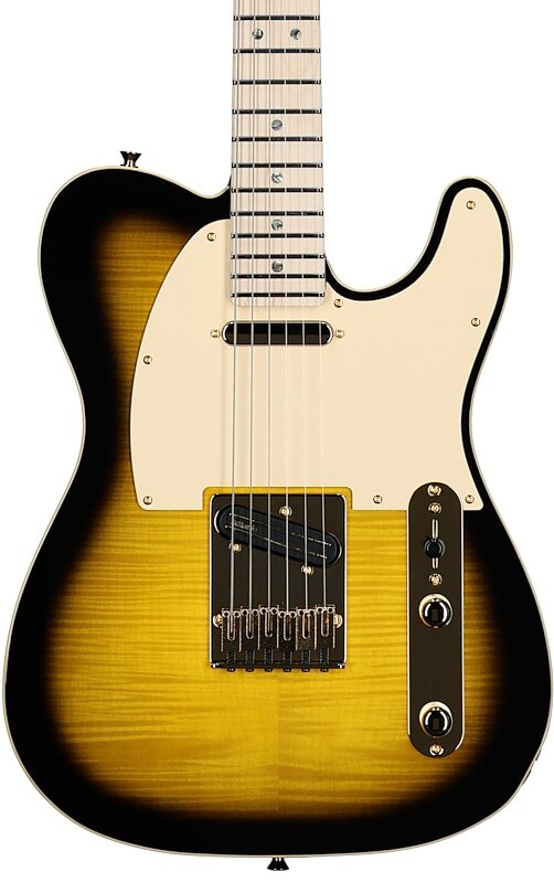 Fender Richie Kotzen Telecaster Electric Guitar (Maple Fingerboard), Brown Sunburst, Serial Number JD24029222, Body Straight Front