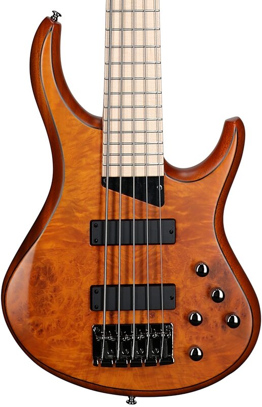 MTD Kingston Z5MP Electric Bass, 5-String (with Maple Fingerboard), Satin Amber, Body Straight Front
