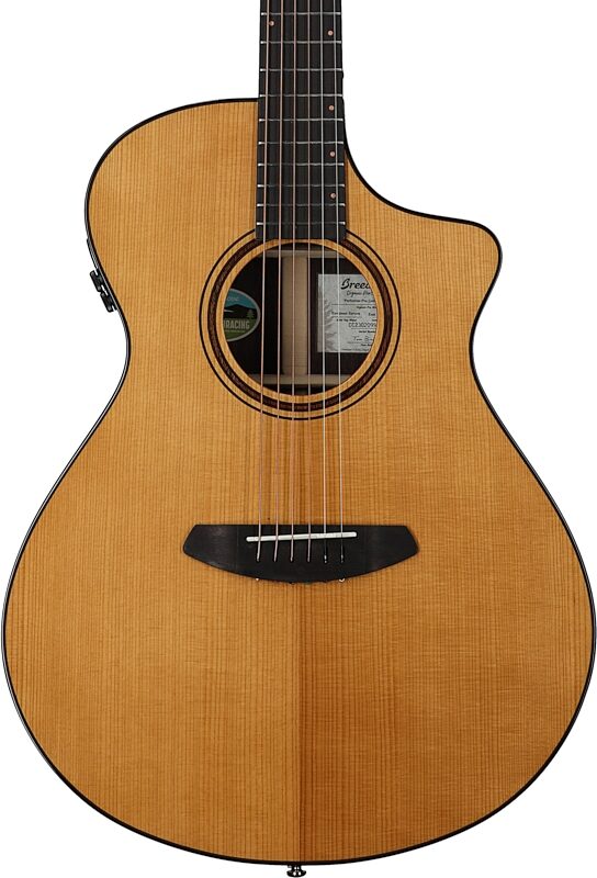 Breedlove Organic Pro Performer Pro Concert CE Rosewood Acoustic-Electric Guitar (with Case), New, Body Straight Front