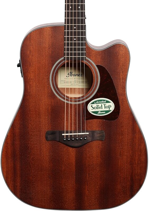 Ibanez AW54CE Artwood Acoustic-Electric Guitar, Open Pore Natural, Body Straight Front