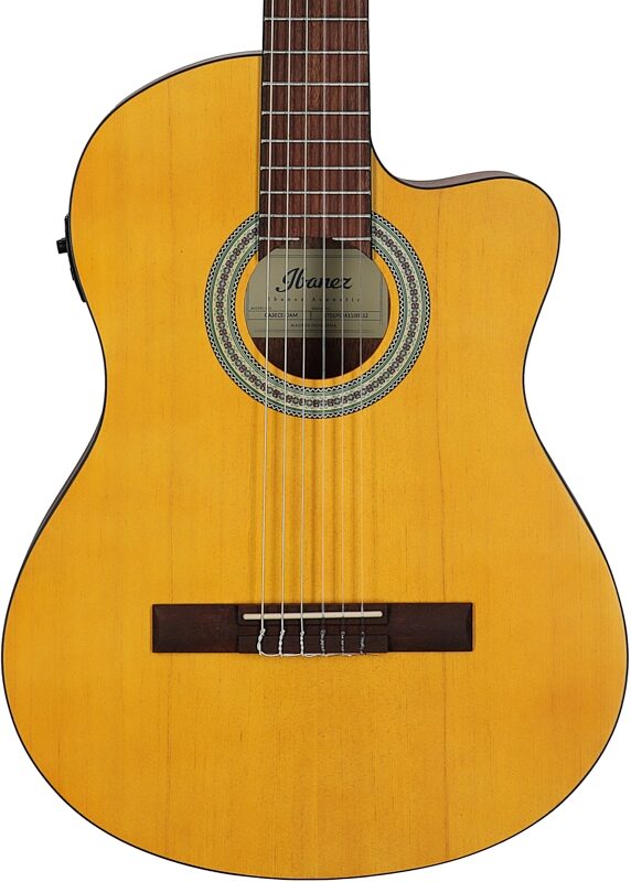 Ibanez GA3ECE Classical Acoustic-Electric Guitar, Open Pore Natural, Body Straight Front