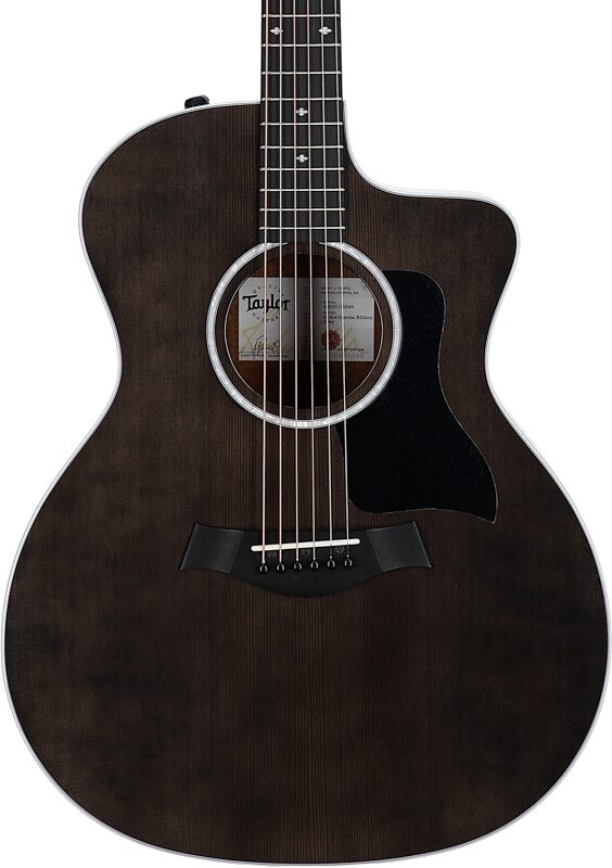 Taylor 214ce-SE Grand Auditorium Acoustic-Electric Guitar (with AeroCase), Grey, Body Straight Front