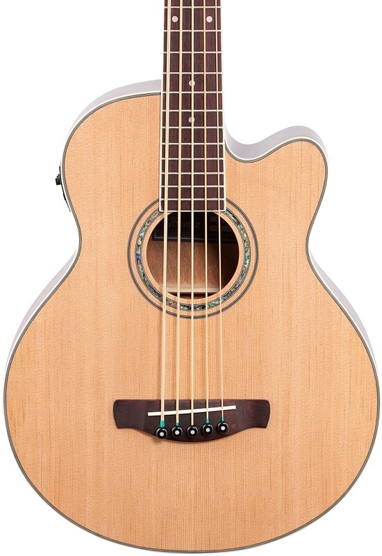 Ibanez AEB105E Acoustic-Electric Bass, 5-String, Natural High-Gloss, Body Straight Front