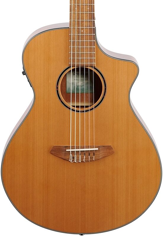 Breedlove ECO Discovery S Concert Nylon CE Cedar Acoustic-Electric Guitar, New, Body Straight Front
