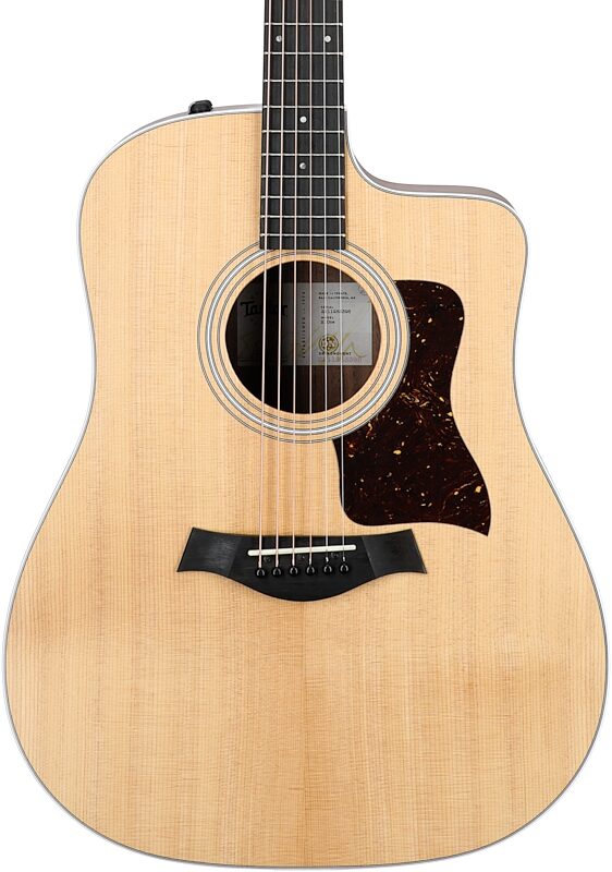 Taylor 210ce Dreadnought Acoustic-Electric Guitar (with Gig Bag), New, Body Straight Front