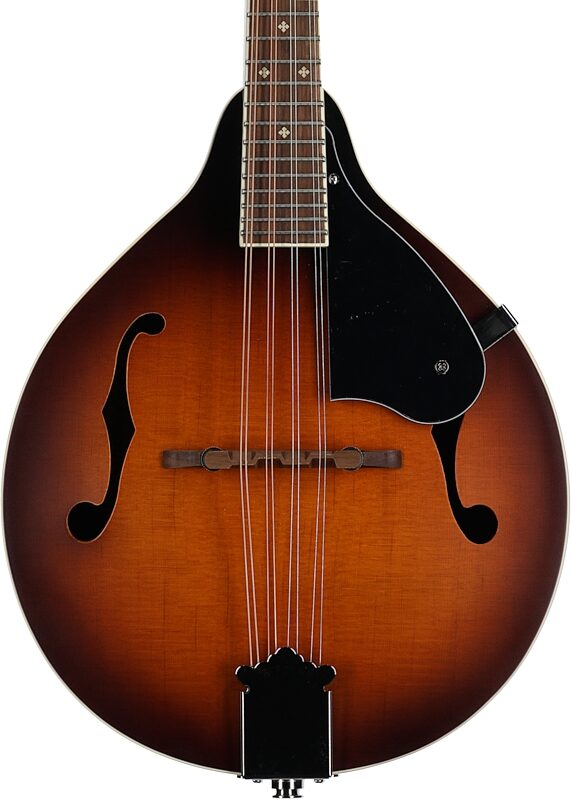 Fender Paramount PM180E Acoustic-Electric Mandolin (with Gig Bag), Cognac, Body Straight Front