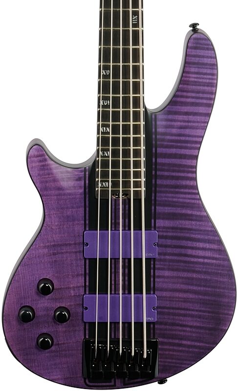 Schecter C-5 GT Electric Bass, Left-Handed, Satin Transparent Purple, Body Straight Front