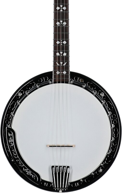 Gold Tone BG-150F Bluegrass Banjo with Flange (and Gig Bag), New, Body Straight Front