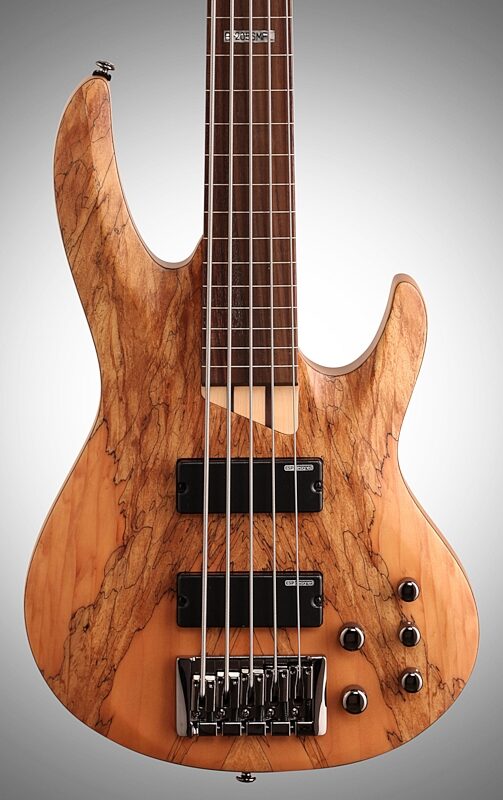 ESP LTD B-205SM Fretless Electric Bass, 5-String, Natural Satin, Body Straight Front