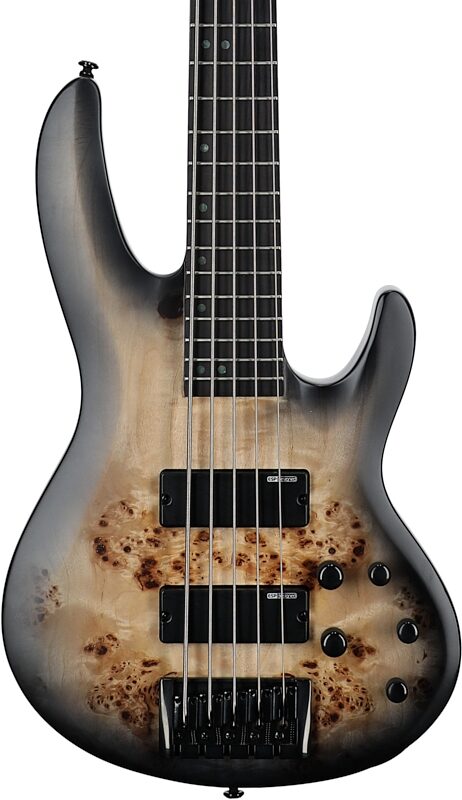 ESP LTD B-5 Electric Bass, 5-String (with Ebony Fingerboard), Charcoal Burst Satin, Body Straight Front