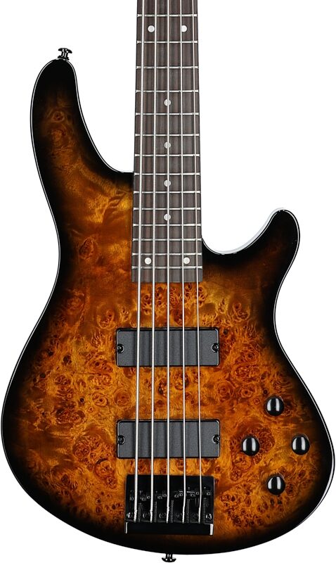 Schecter C-5 Standard Electric Bass, 5-String, Tobacco Burl, Body Straight Front