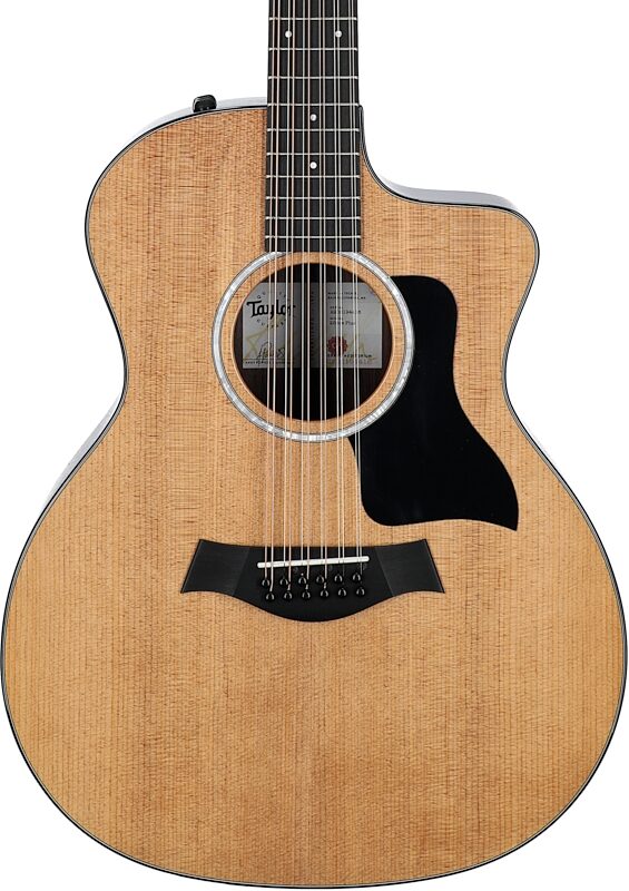 Taylor 254ce Plus Grand Auditorium Acoustic-Electric Guitar, 12-String (with Case), New, Body Straight Front