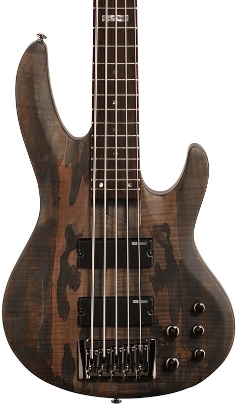 ESP LTD B205SM Electric Bass, 5-String, See Thru Black, Body Straight Front