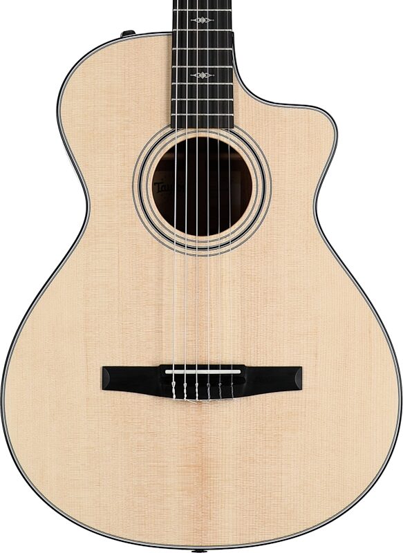Taylor 312ce-N Grand Concert Classical Acoustic-Electric Guitar (with Case), New, Body Straight Front