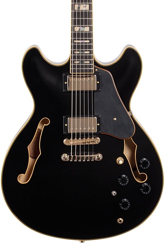 Ibanez John Scofield JSM20 Semi-Hollowbody Electric Guitar (with Case), Black, Body Straight Front