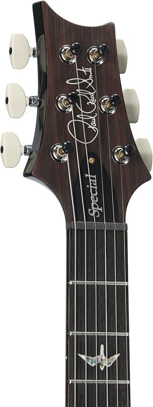 PRS Paul Reed Smith Special Semi-Hollow LTD 10-Top Electric Guitar (with Case), Gray Black, Serial Number 0378815, Headstock Left Front
