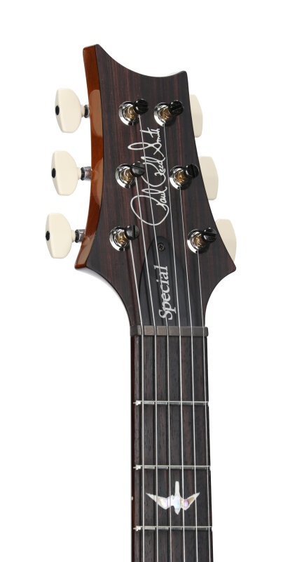 PRS Paul Reed Smith Special Semi-Hollowbody Electric Guitar (with Case), Black Gold, Serial Number 0408467, Headstock Left Front