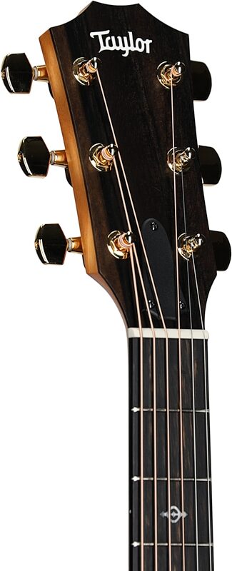 Taylor 224ce-K DLX Grand Auditorium Acoustic-Electric Guitar (with Case), Serial #2201234285, Blemished, Headstock Left Front